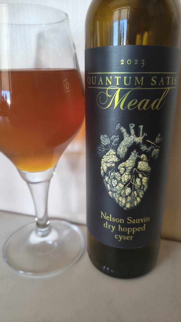 Nelson Sauvin Dry Hopped Cyser (2023), Quantum Satis Mead