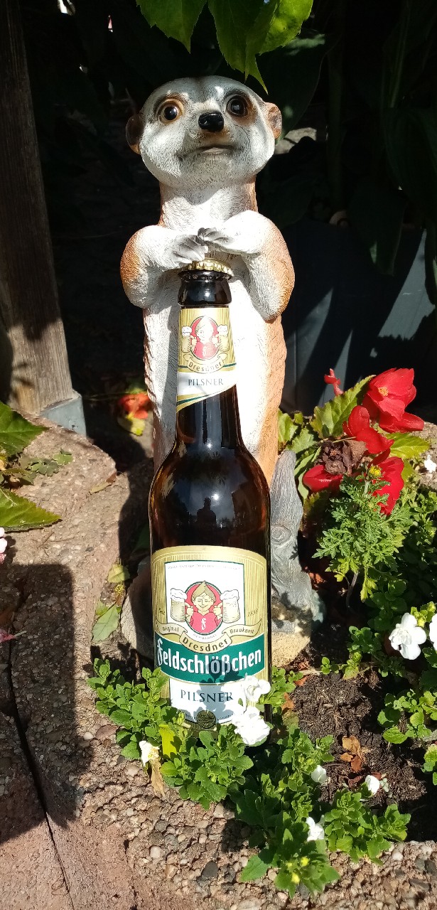 Feldschlößchen Pilsner, Feldschlößchen Dresden (TCB Beverages)