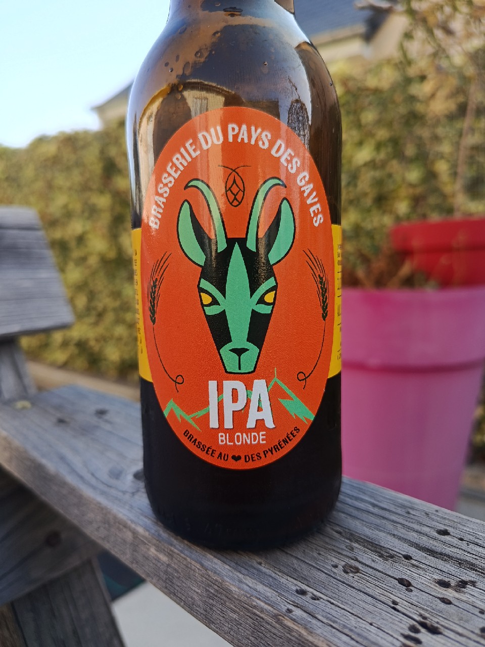 Cuvée De L'Herbe Blonde, Brasserie Du Pays Des Gaves