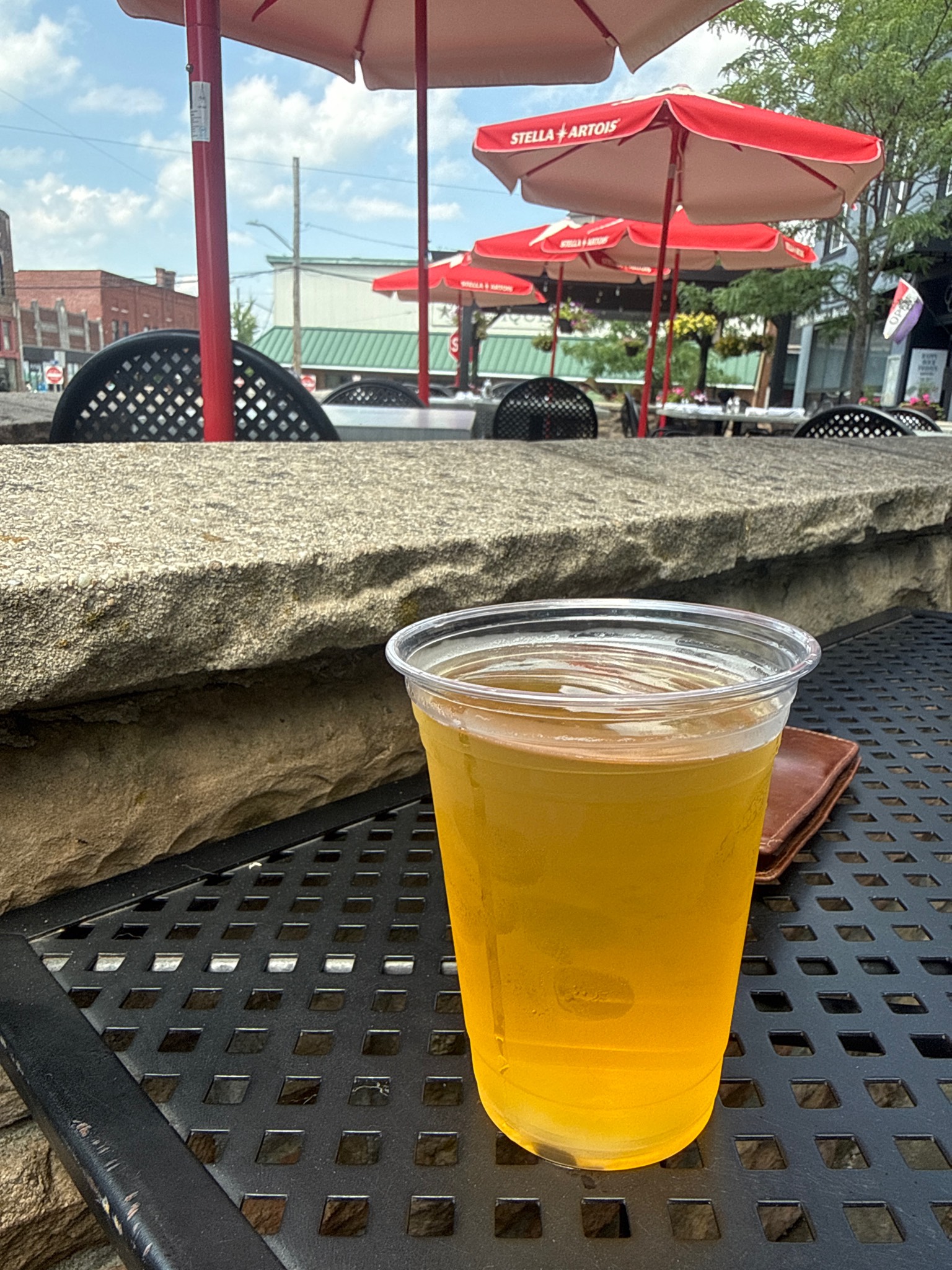 Sanitex Pilsner, Sanitex