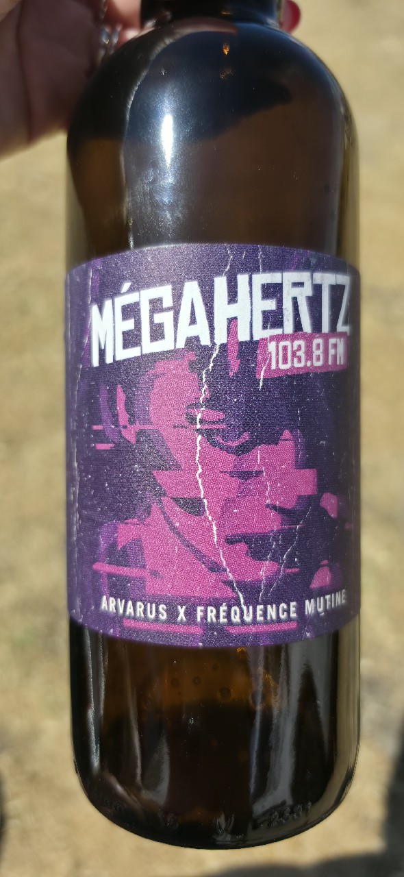 megahertz 103,8FM, Arvarus