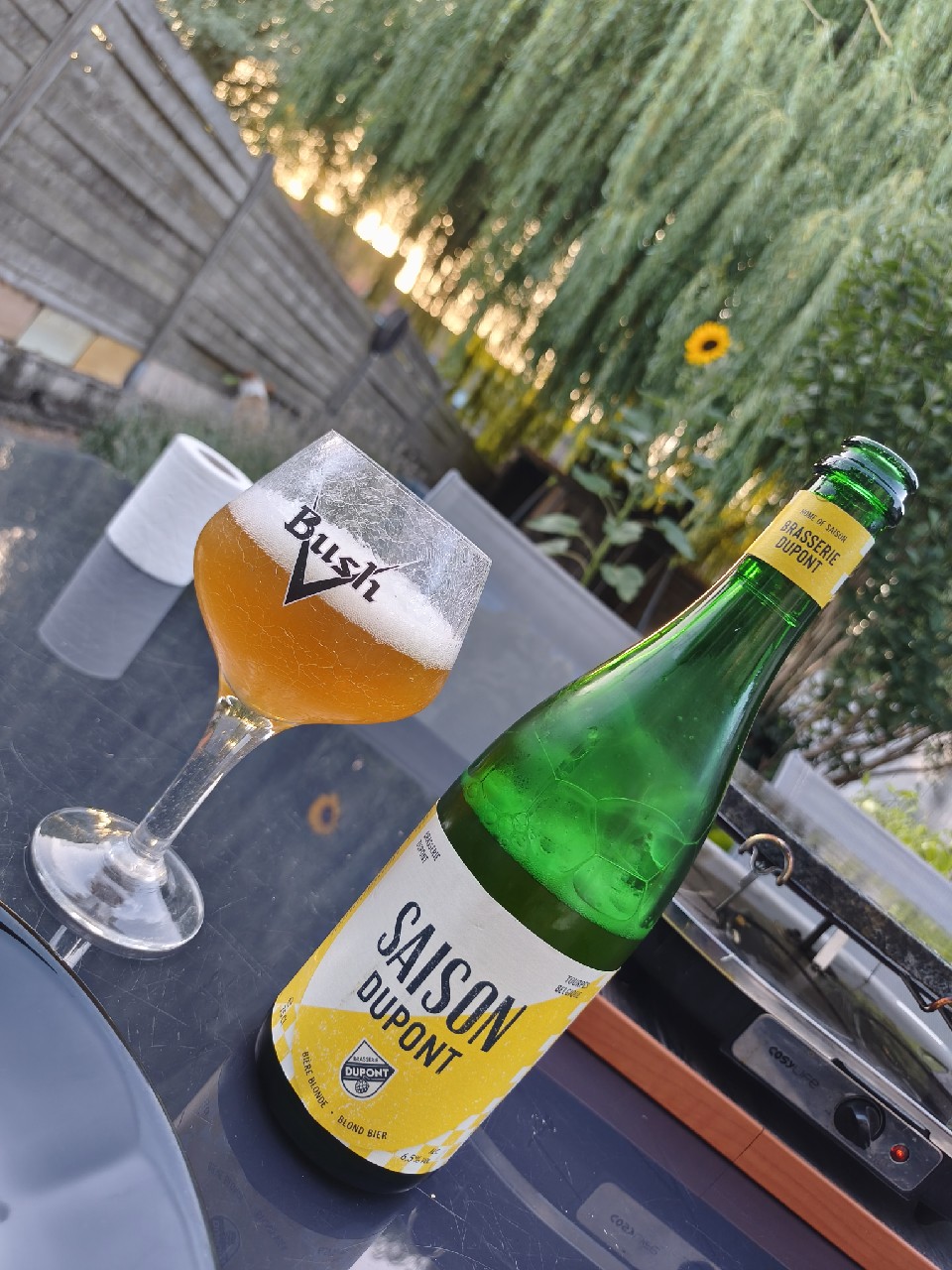 Saison Dupont, Belgium