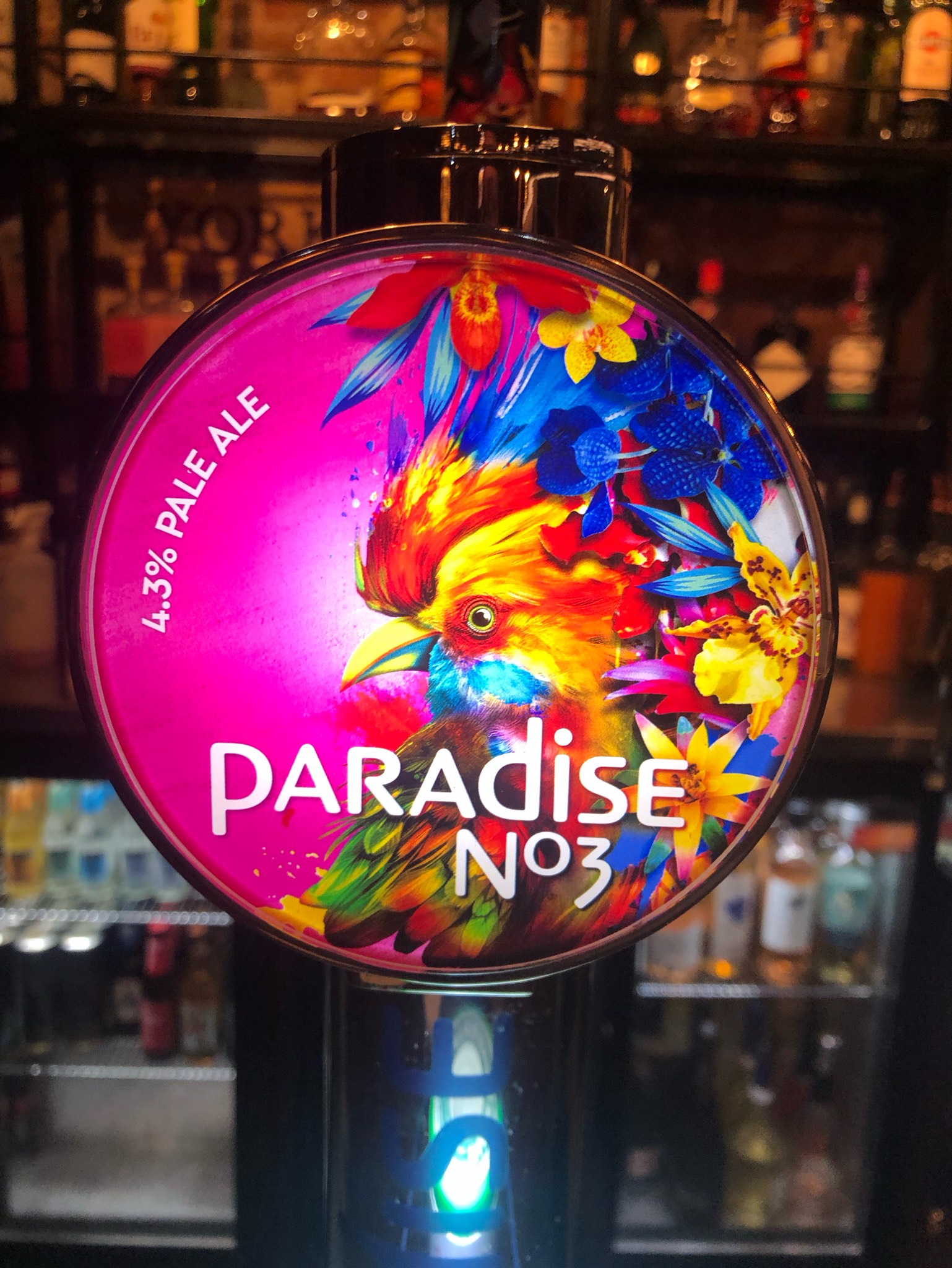 Paradise No3, Thwaites Brewery