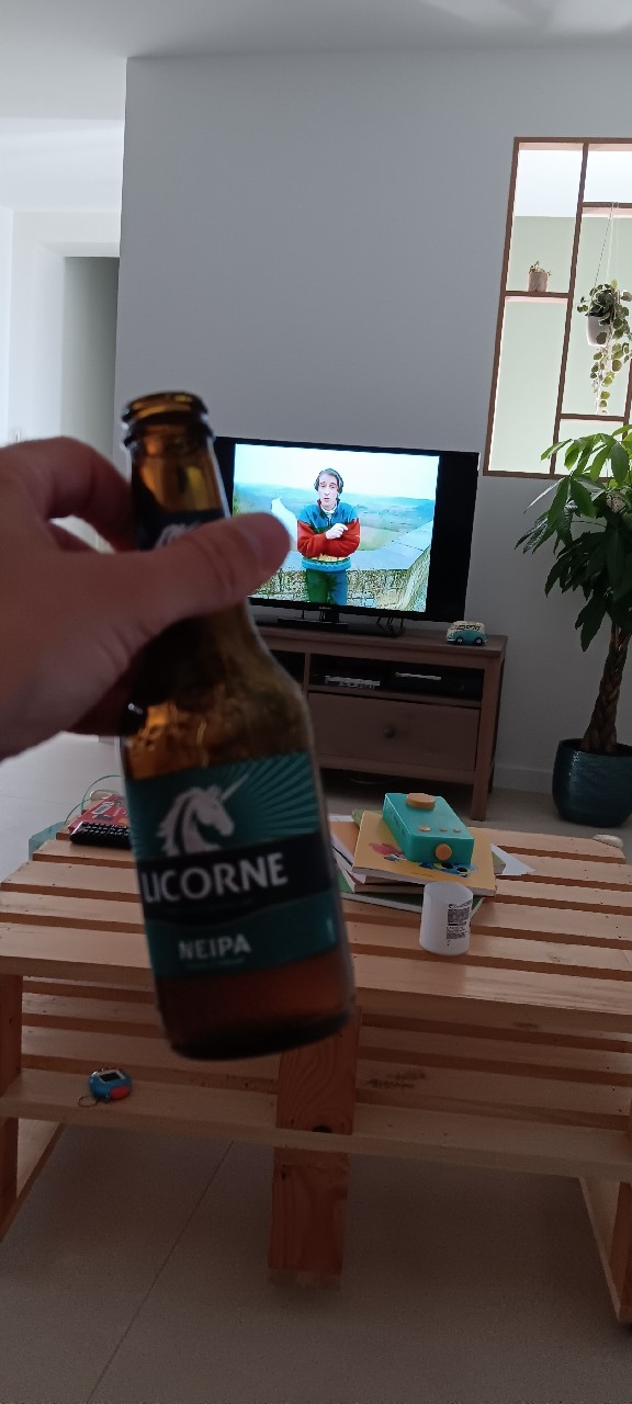 NEIPA, France