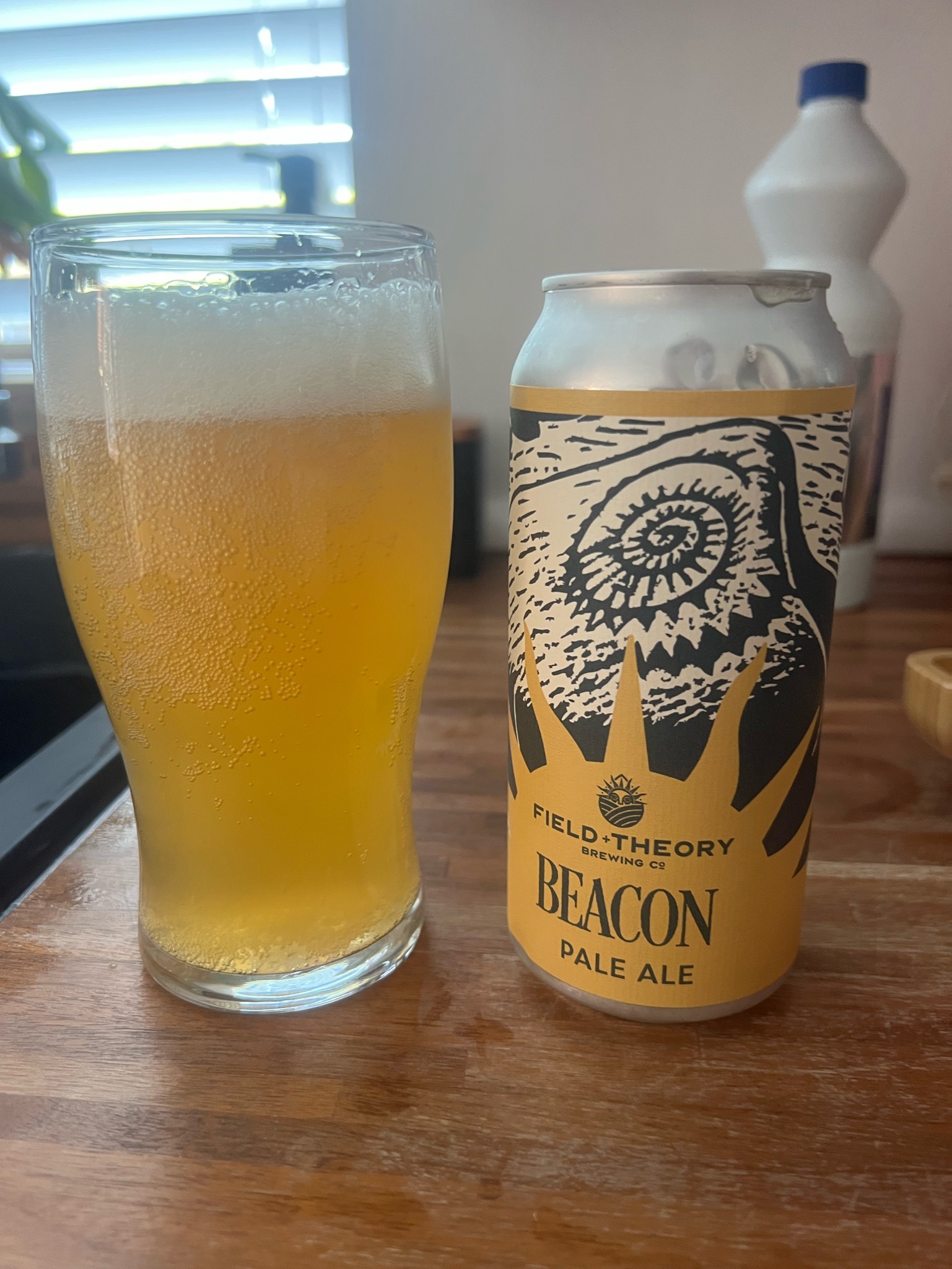 Beacon, Field + Theory