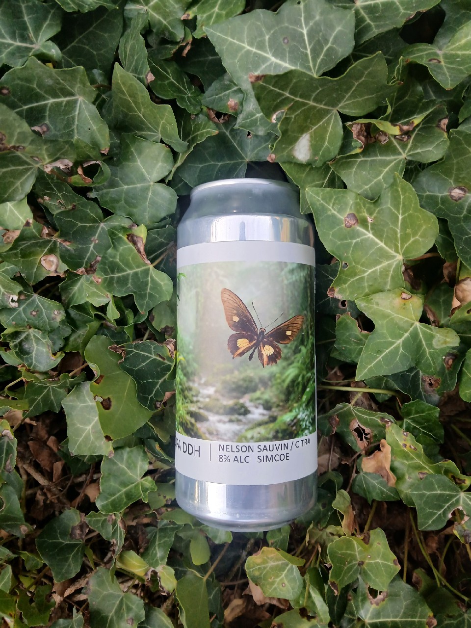 dipa ddh nelson sauvin citra simcoe, France