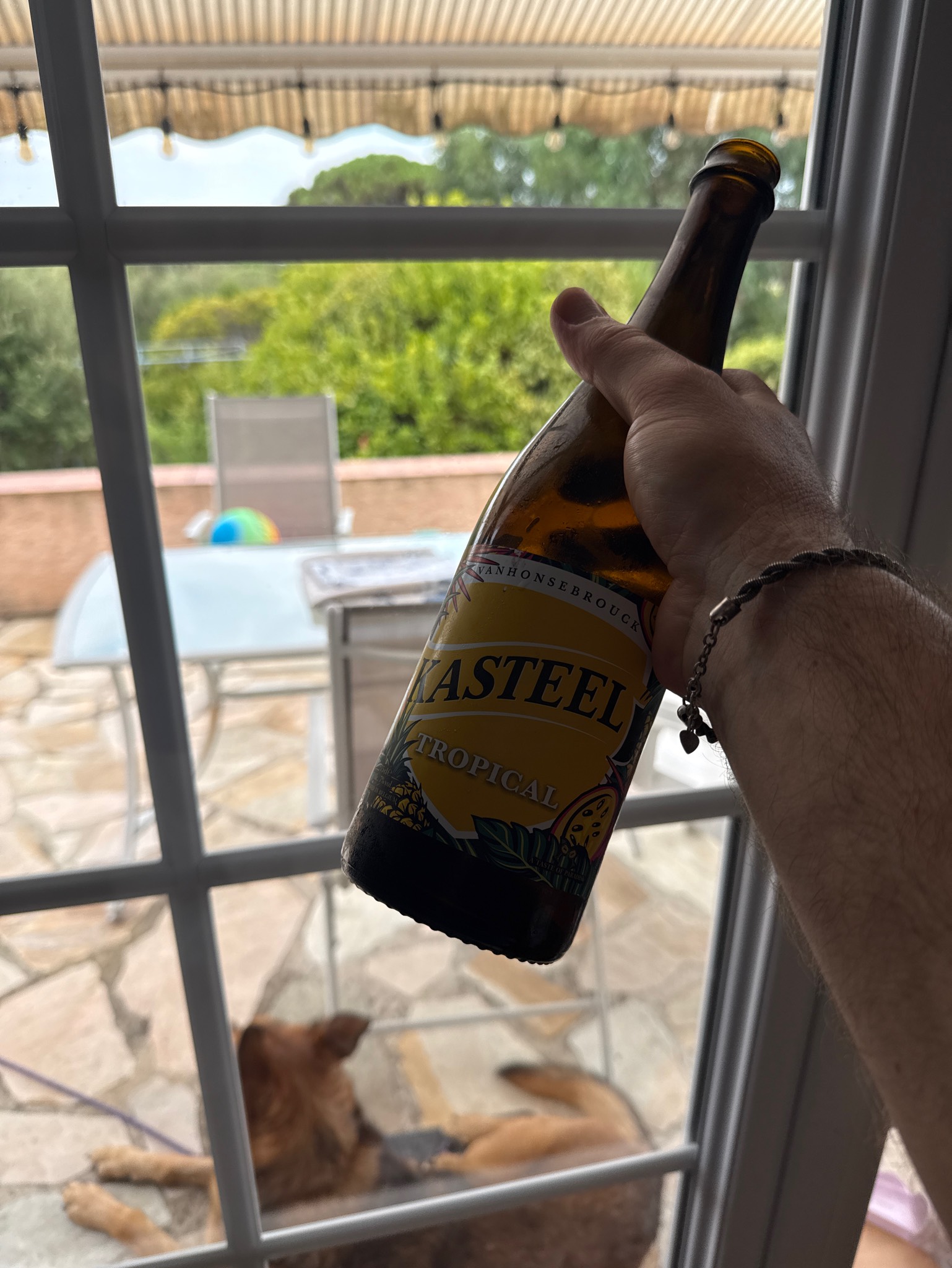 Kasteel Tropical, Kasteel Brouwerij Vanhonsebrouck