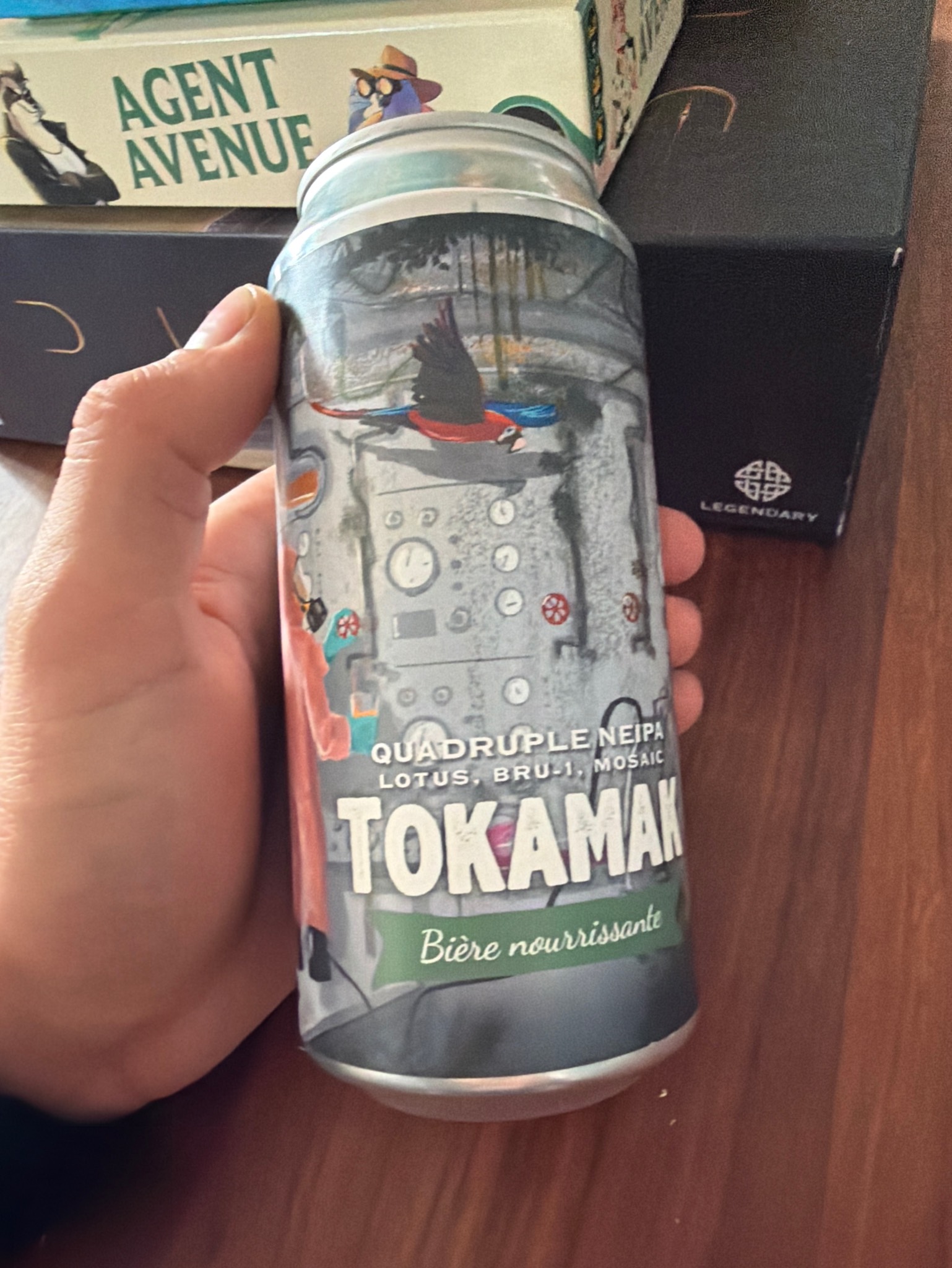 Tokamak, France