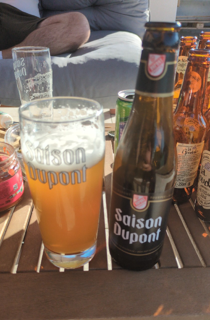 Saison Dupont, Belgium
