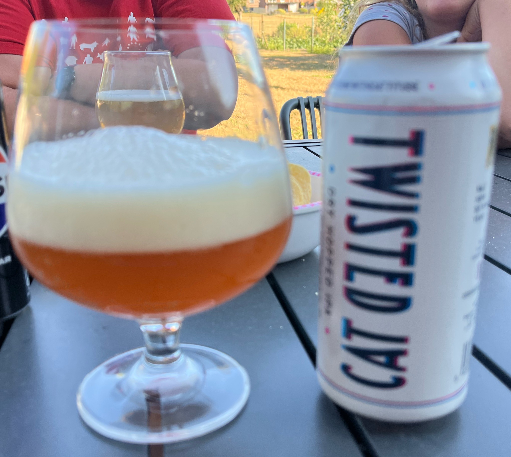 Dry Hopped IPA, Twisted Cat
