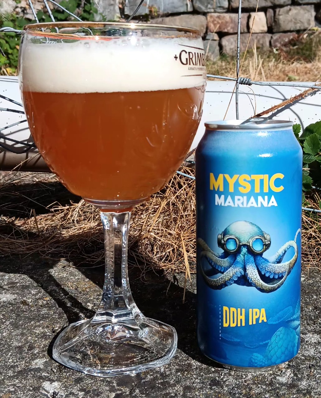 Mystic Mariana, Brasserie Skumenn