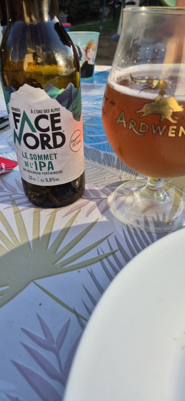 Face Nord Le Sommet De L'IPA, Brasserie Du Dauphiné (Mandrin)
