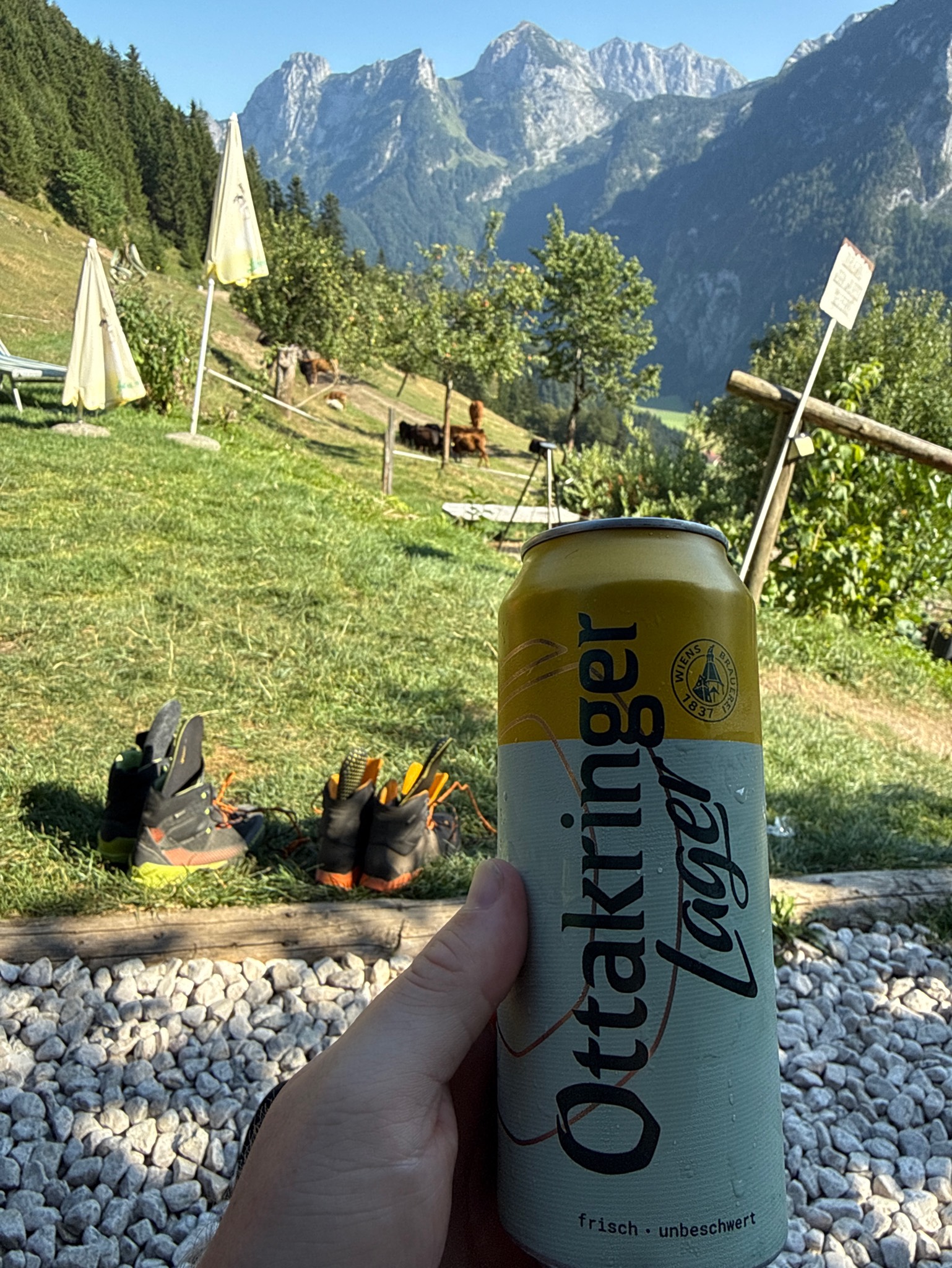 Ottakringer Lager, Austria