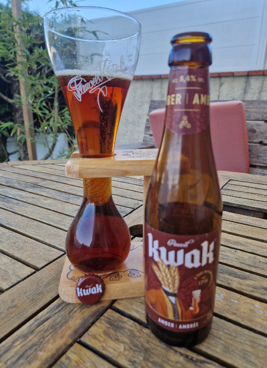 Pauwel Kwak, Belgium