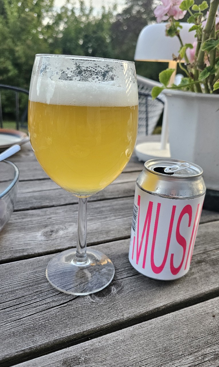 House Music, Sweden