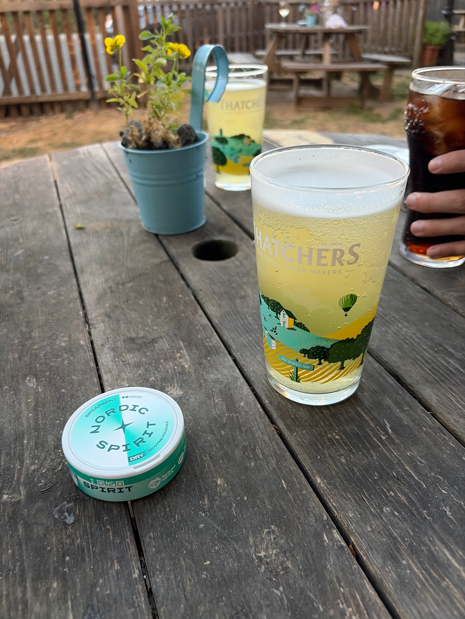 Thatchers Cloudy Lemon, Thatchers Cider