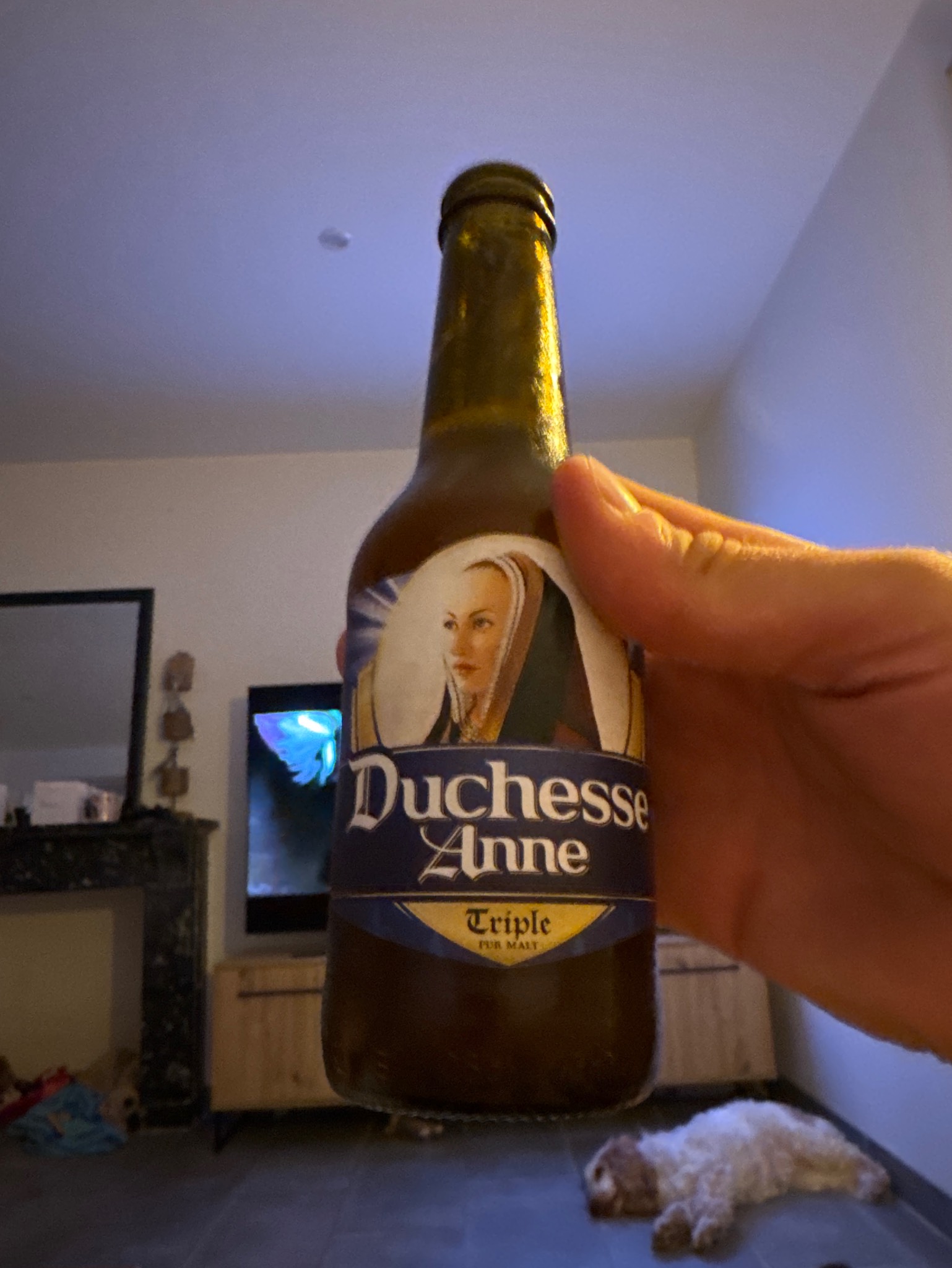 Duchesse Anne Triple, France