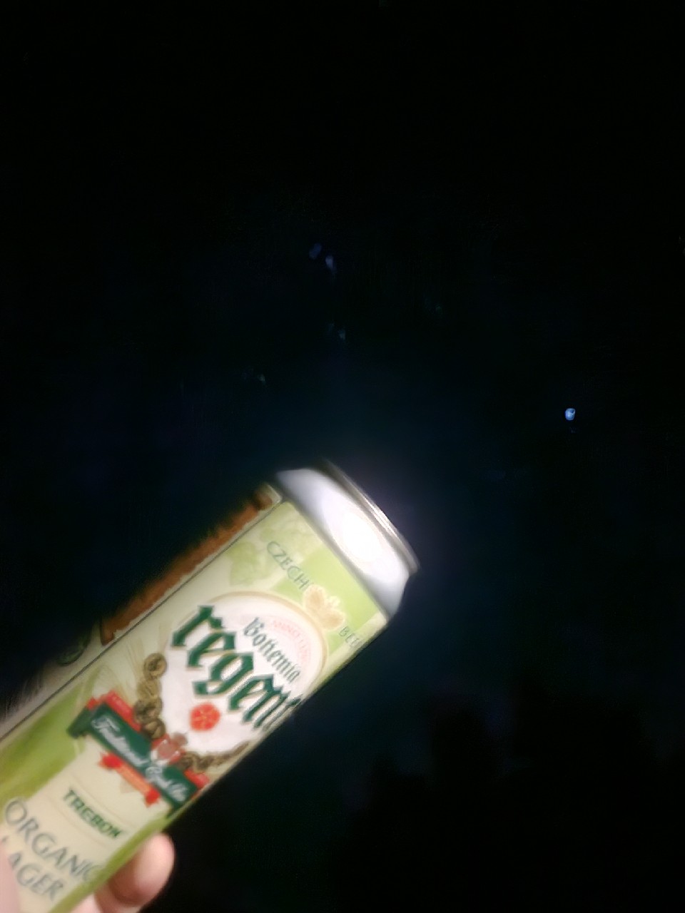 Trebon Organic Lager, Czech Republic