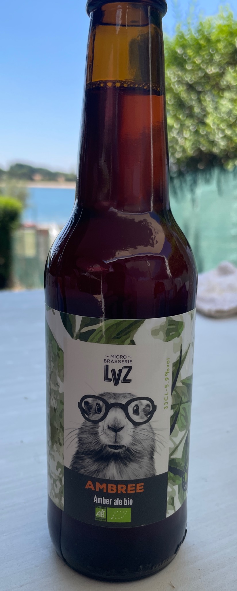 LVZ Ambrée Bio, Microbrasserie LVZ
