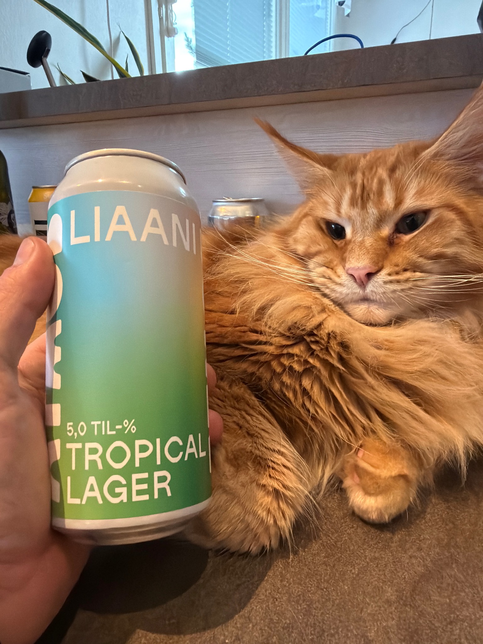 Liaani, Finland