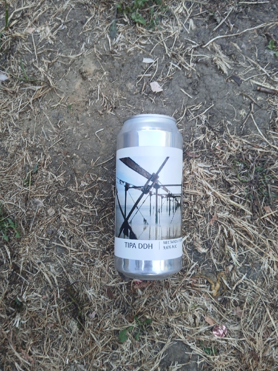 Tipa ddh nectaron/simcoe/mosaic, France