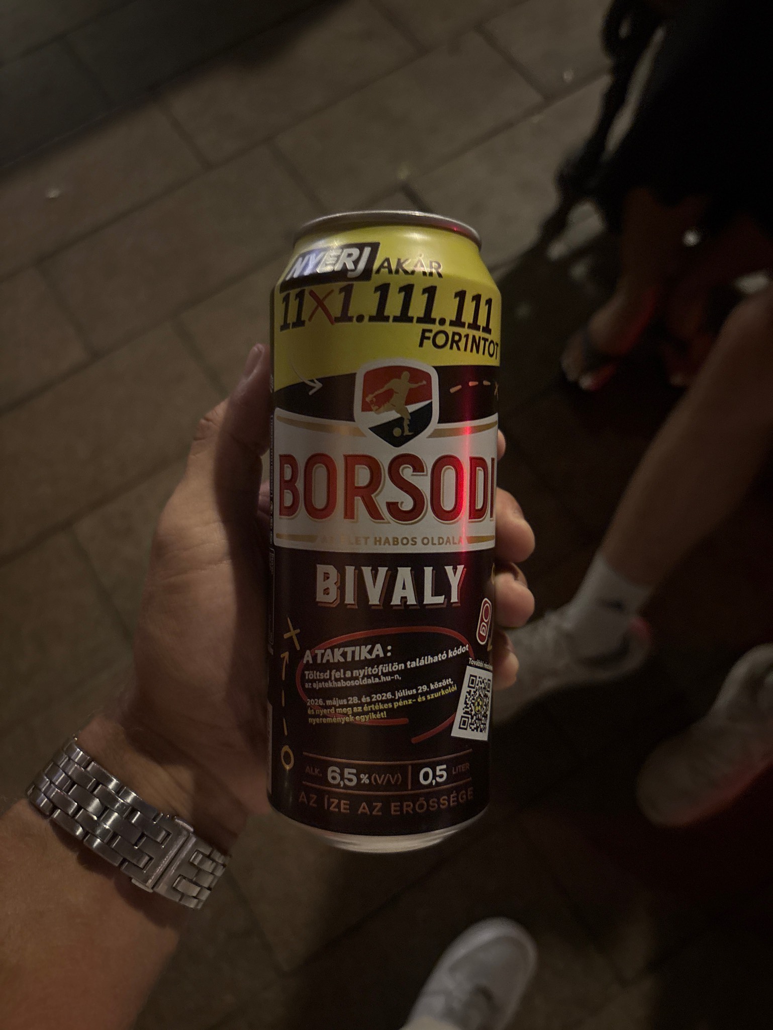 Borsodi Bivaly, Borsodi Sörgyár Kft