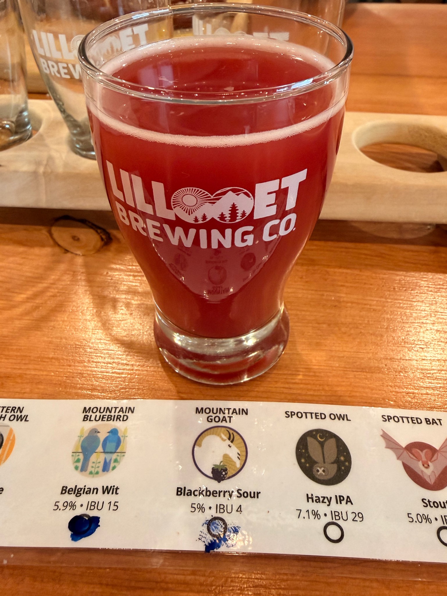 Mountain goat Blackberry Sour, Lillooet Brewing Company