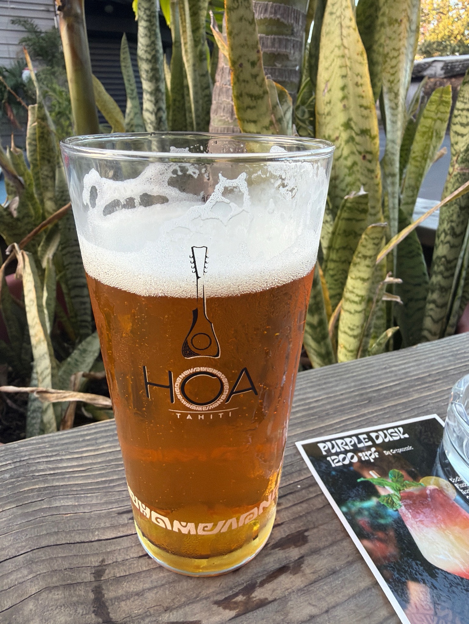Pia IPA, Brasserie Hoa