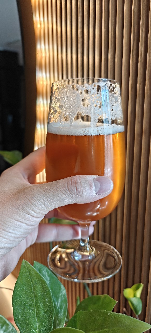 Óllenaut pale ALE, Estonia