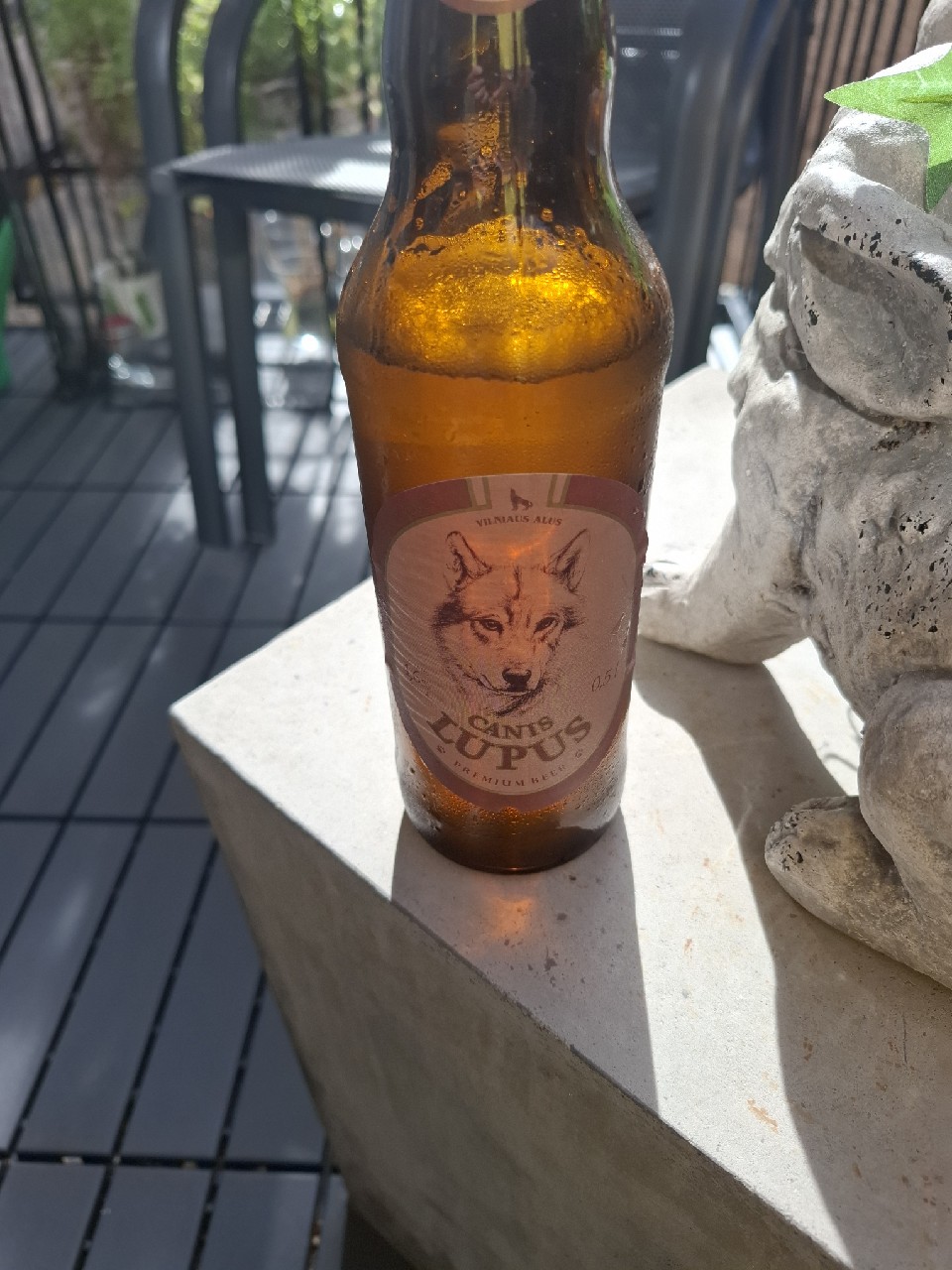 Canis Lupus, Vilniaus Alus