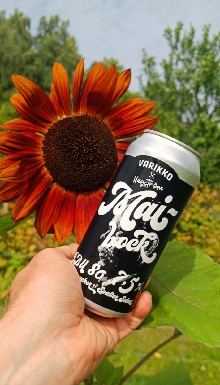 Maibock, Finland