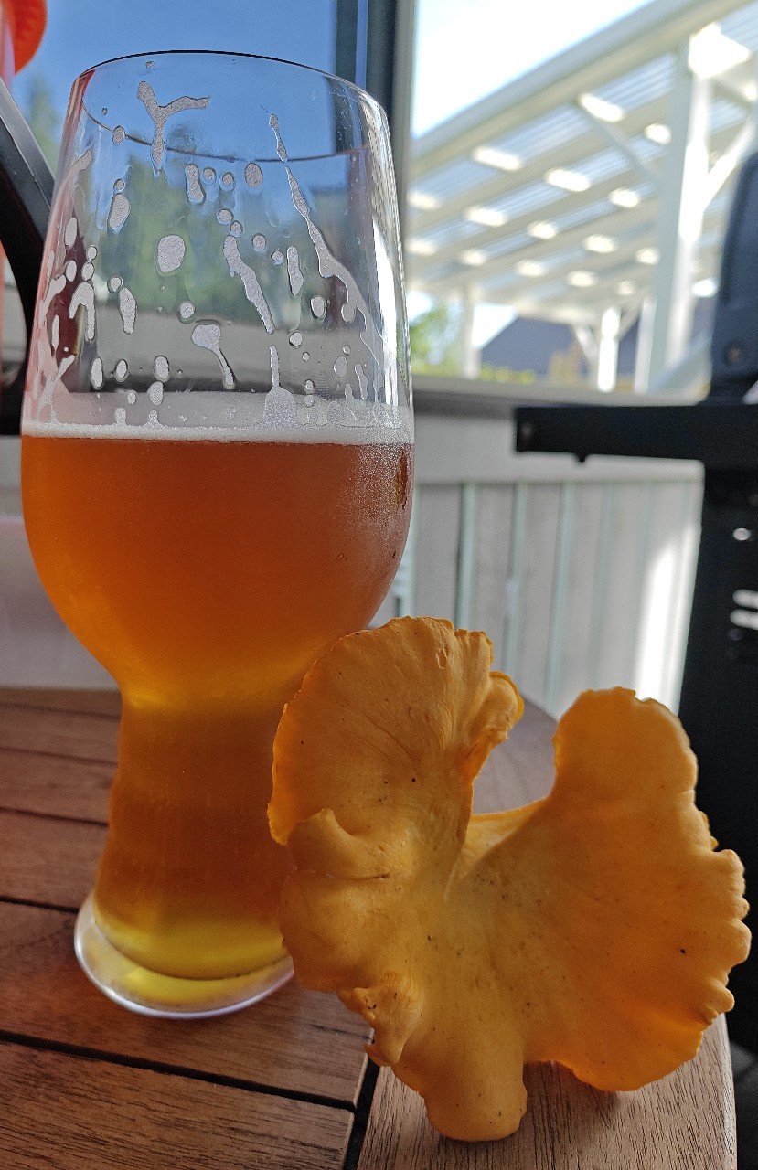 Organic Classic West Coast IPA, Stockholm Brewing Co.