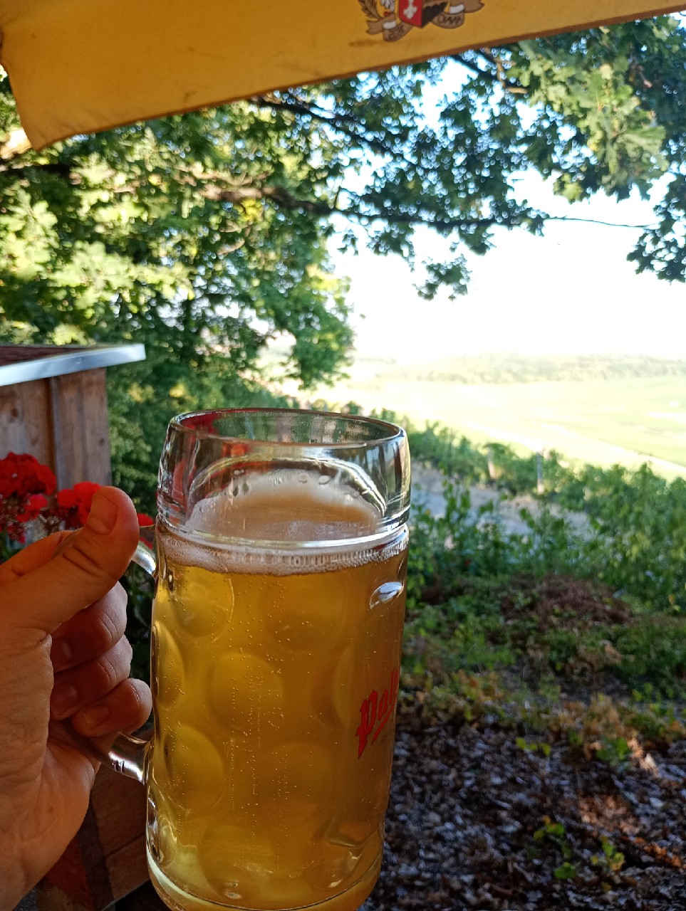 Palmbräu Zwickel-Hell, Palmbräu (Brauhaus Pforzheim)