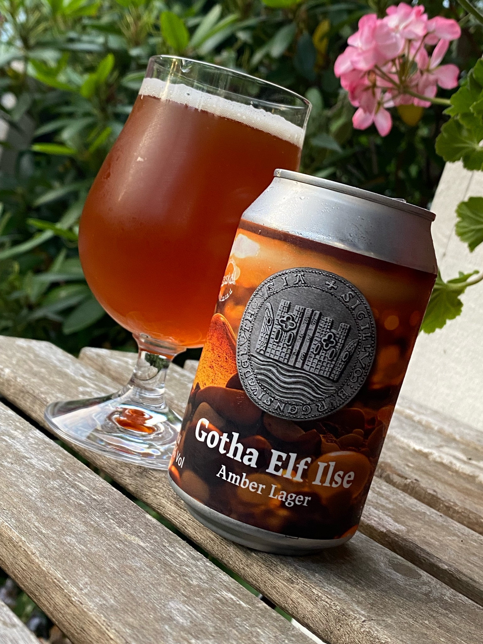 Gotha Elf Ilse, Sweden