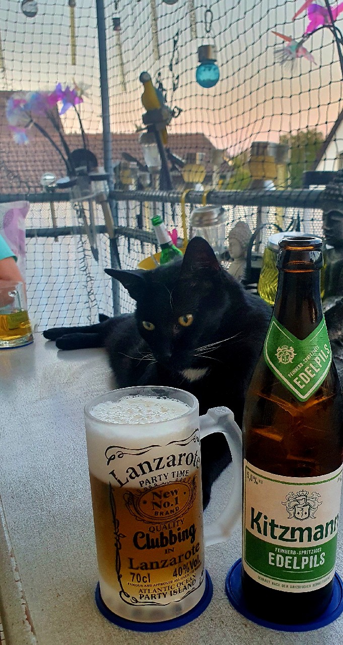 Edelpils, Brauerei Kitzmann