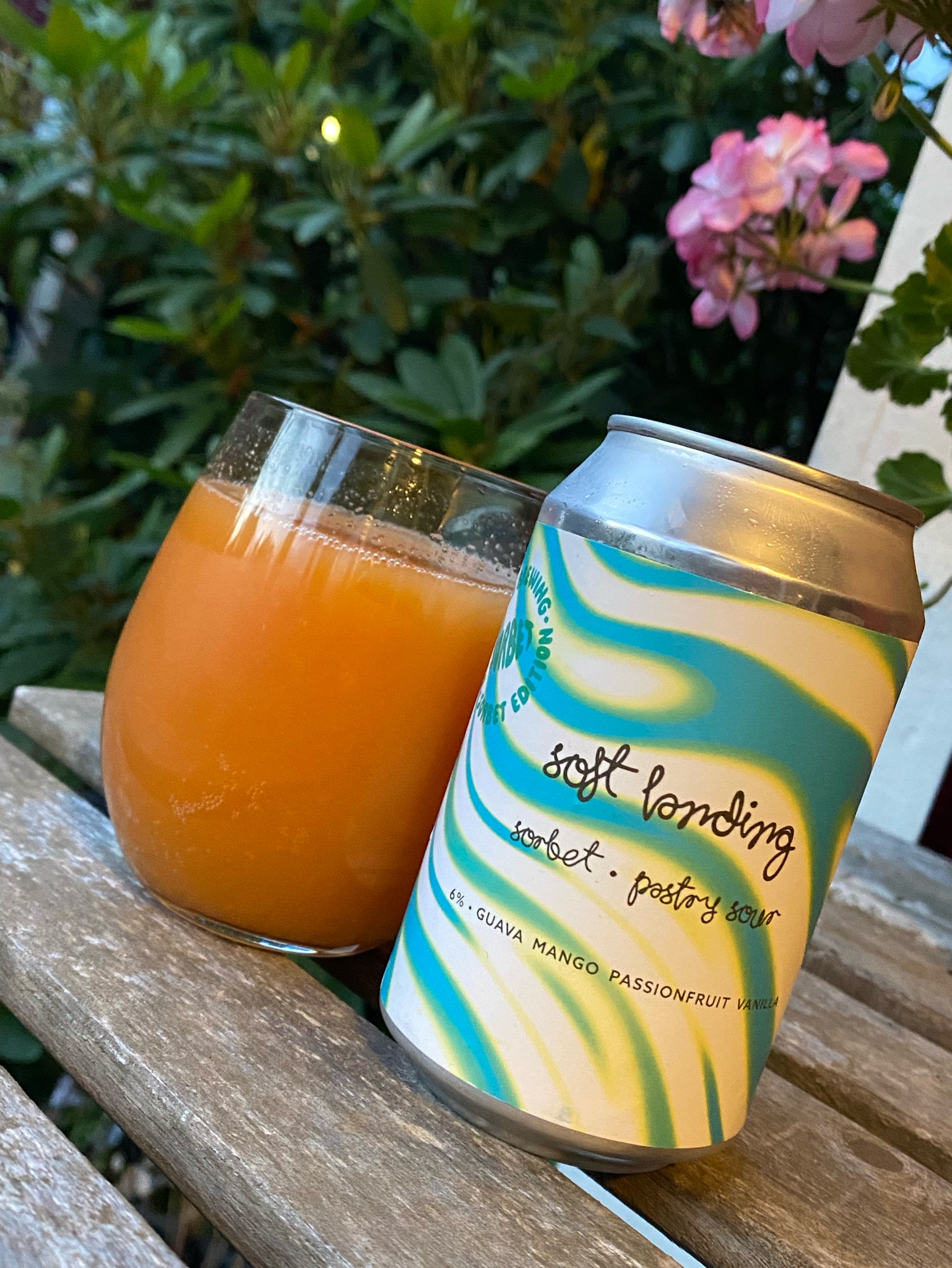 Soft Landing Sorbet, Duckpond Brewing