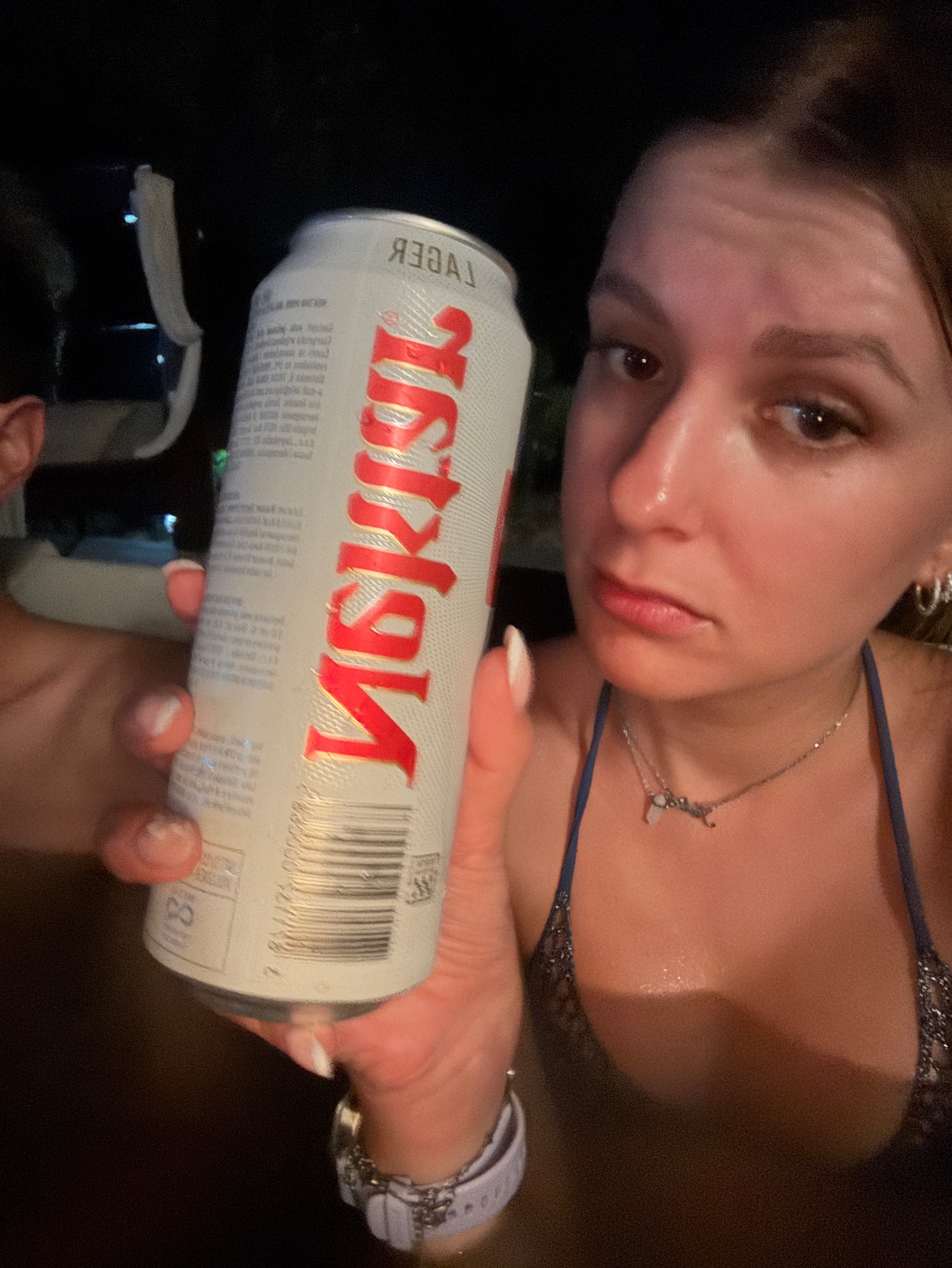 Nektar Lager Svijetlo Pivo, Bosnia and Herzegovina