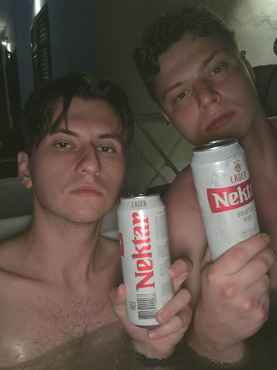 Nektar Lager Svijetlo Pivo, Bosnia and Herzegovina