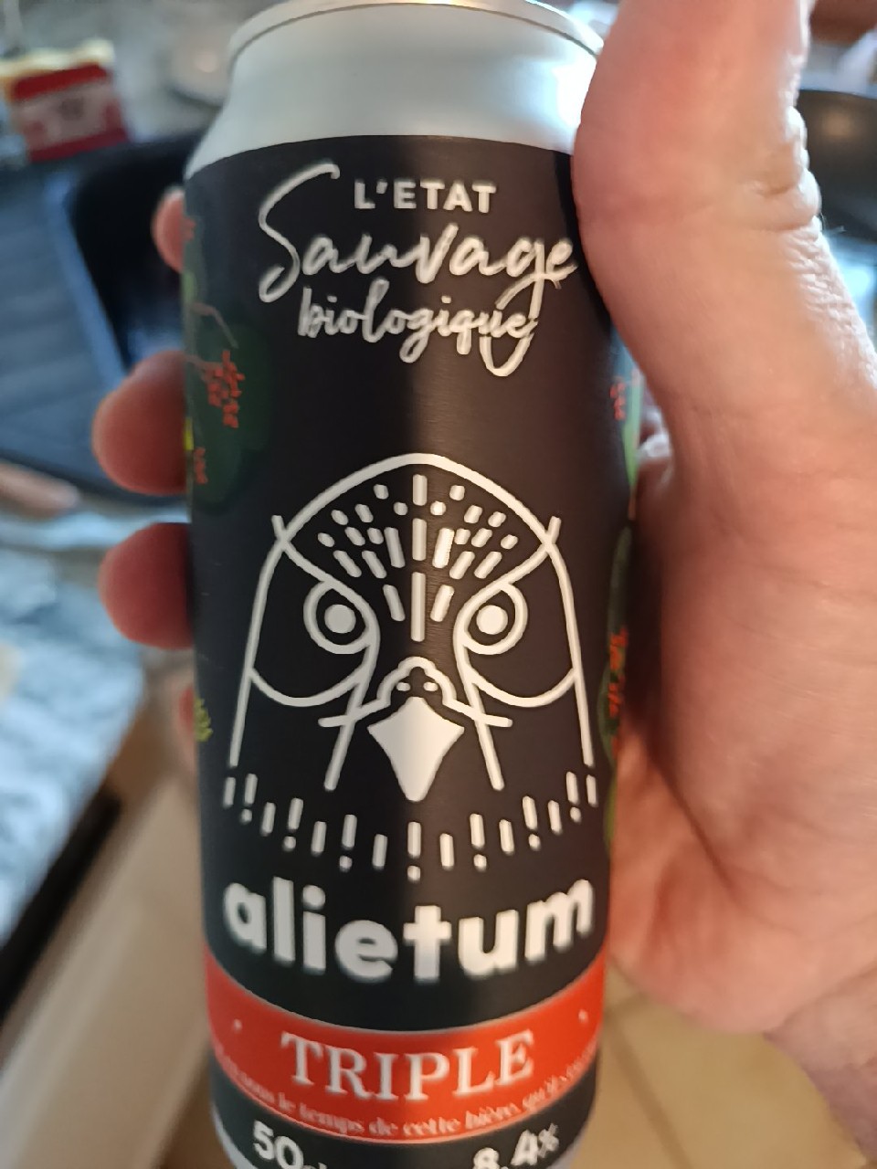 Alietum, France
