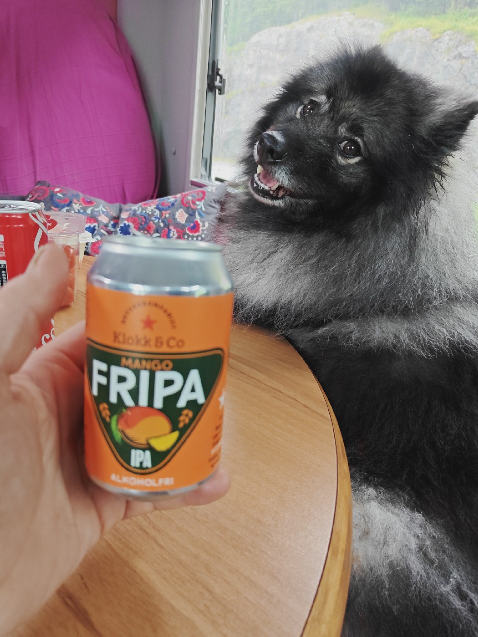 Mango FrIPA, Klokk & Co.
