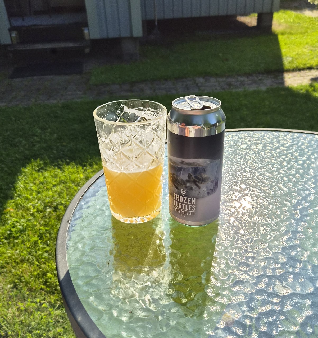 Frozen Turtles, Azvex Brewing Company