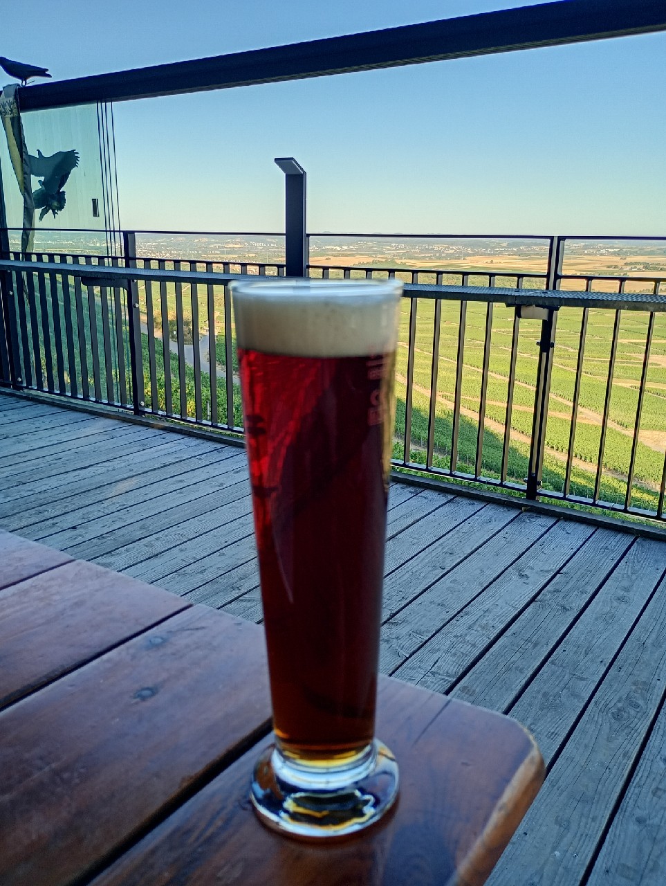 Maulbronner Klosterbräu Dunkel, Palmbräu (Brauhaus Pforzheim)
