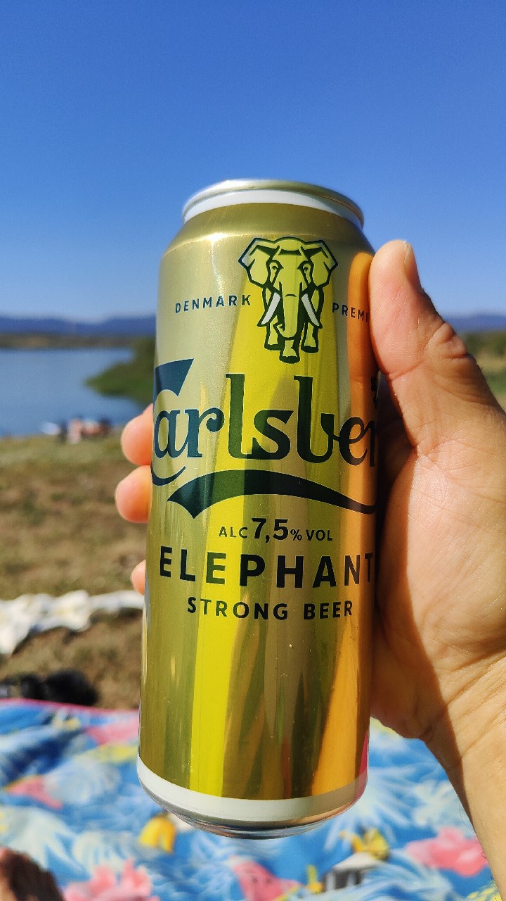 Elephant, Denmark