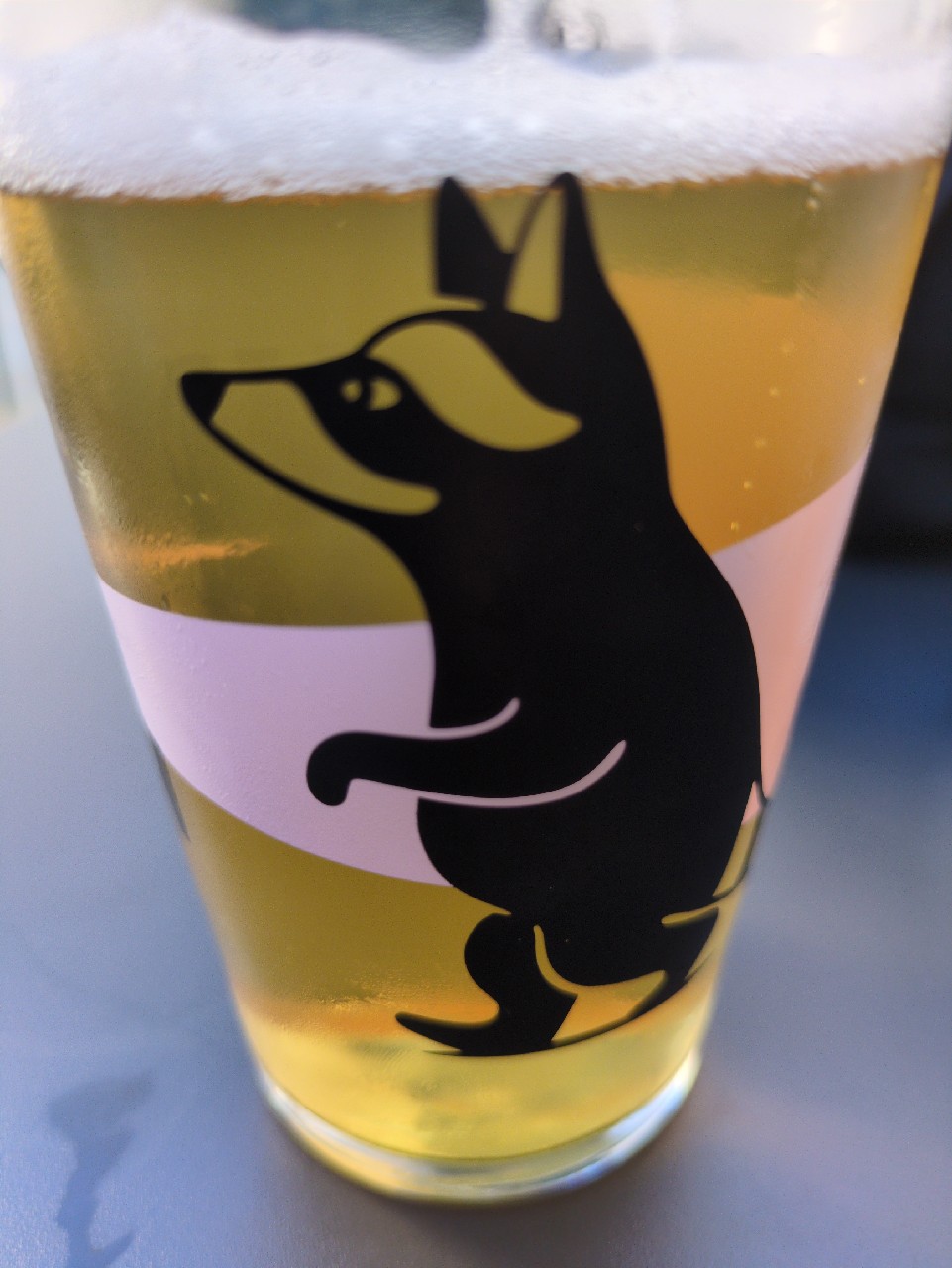 Reality Is Boring, Birrificio Wild Raccoon