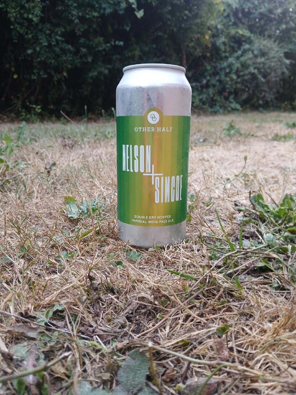 Citra + Nectaron, Other Half Brewing Co.