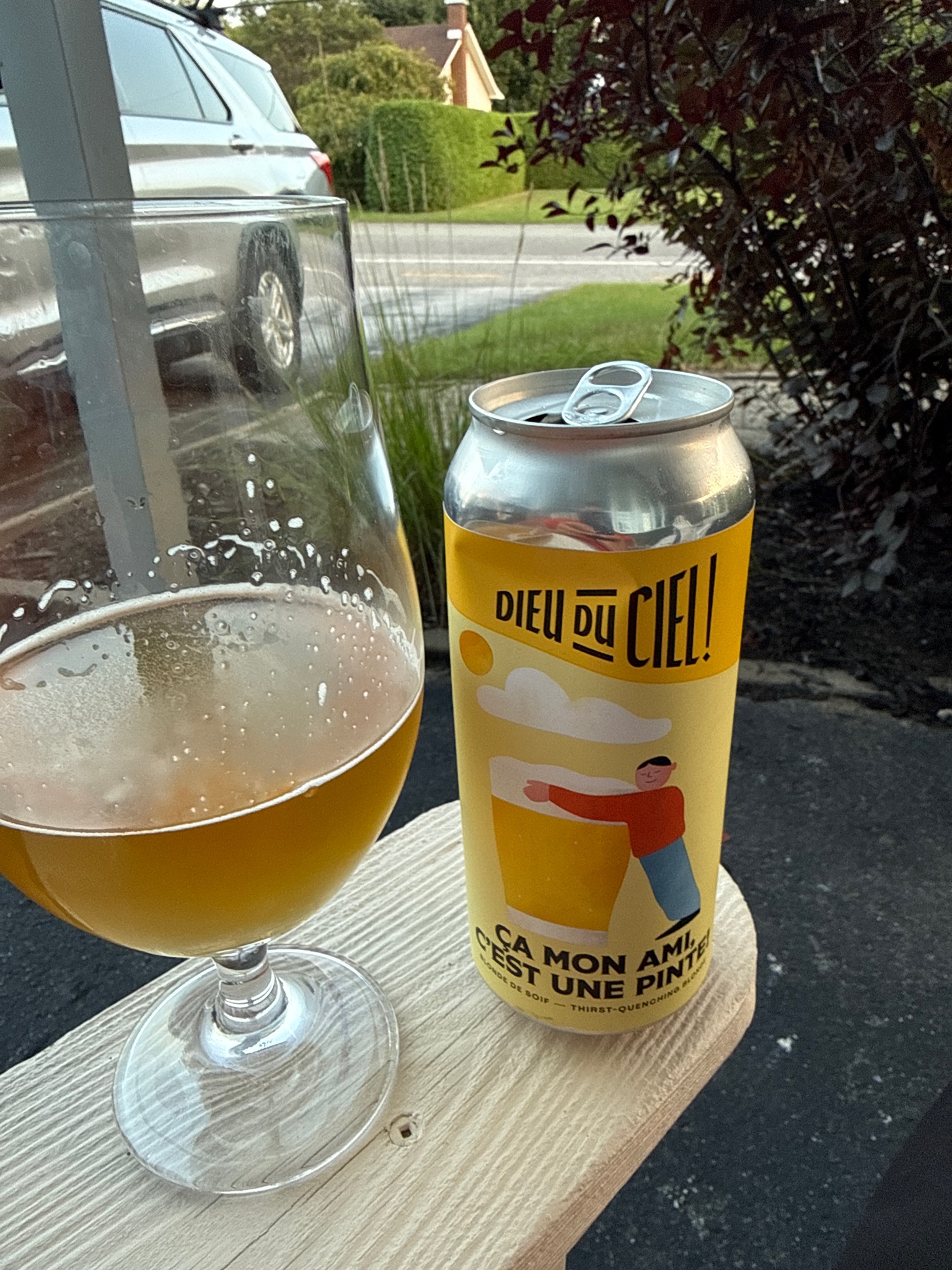 Ça mon ami, c'est une pinte, Canada