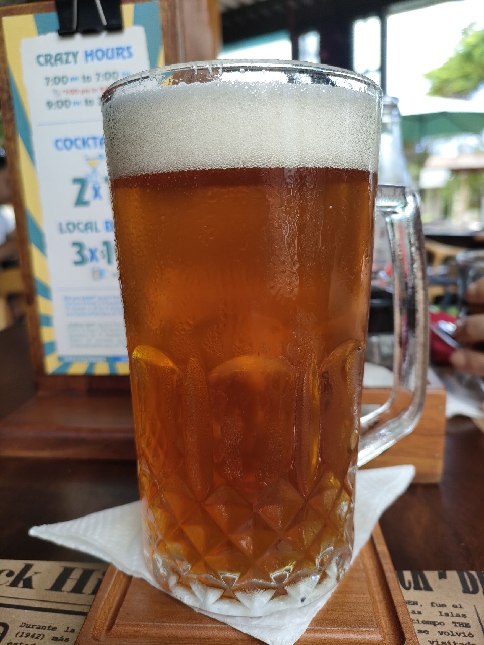 Iguana rock American ipa, Iguana Rock craft beer