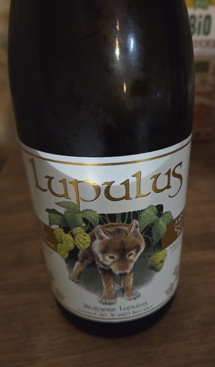 Lupulus Blonde / Triple, Belgium