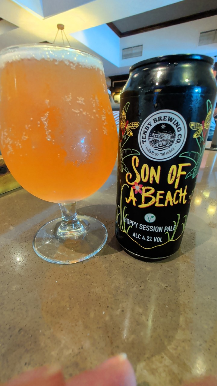 Son of A Beach, Tenby Brewing Co.