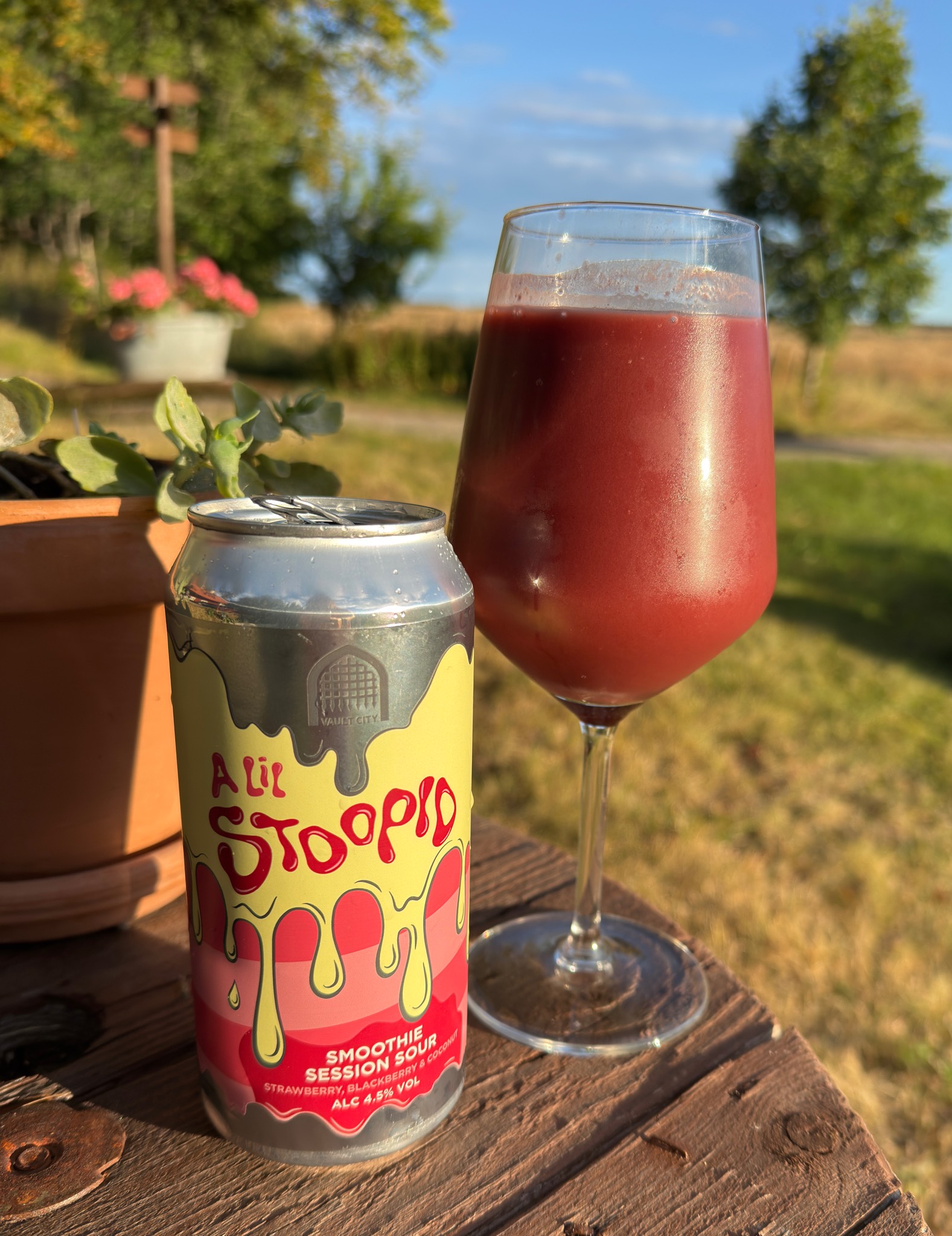 A Lil Stoopid: Strawberry, Blackberry & Coconut, Scotland